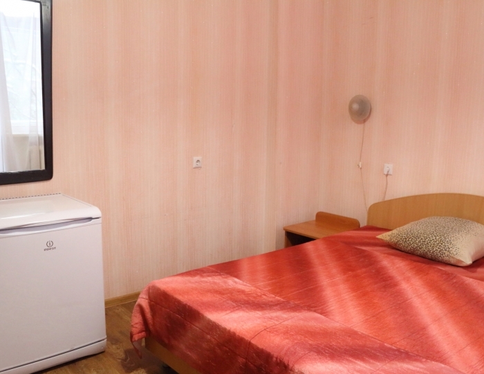 Стандартный 1-местный Кинг Сайз корпус 2 - Санаторий «Летцы»