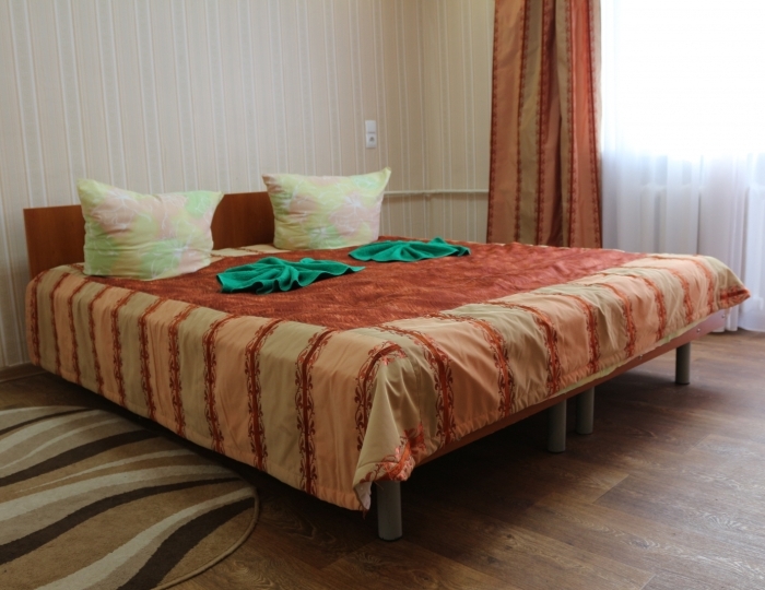 Стандартный 1-местный Кинг Сайз корпус 1 - Санаторий «Летцы»