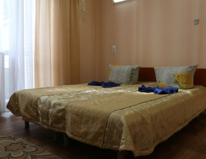 Стандартный 1-местный Кинг Сайз корпус 1 - Санаторий «Летцы»