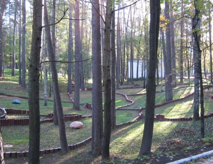 Климатолечение - Оздоровительные услуги - Санаторий «Летцы»